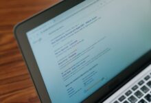 Role of SEO in Helping Businesses Expand