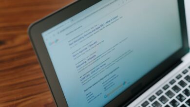 Role of SEO in Helping Businesses Expand